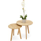 Salon- en/of bijzettafel ESPINO - naturel - hout